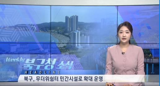 2026년 8월 3주