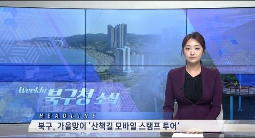2026년 8월 5주