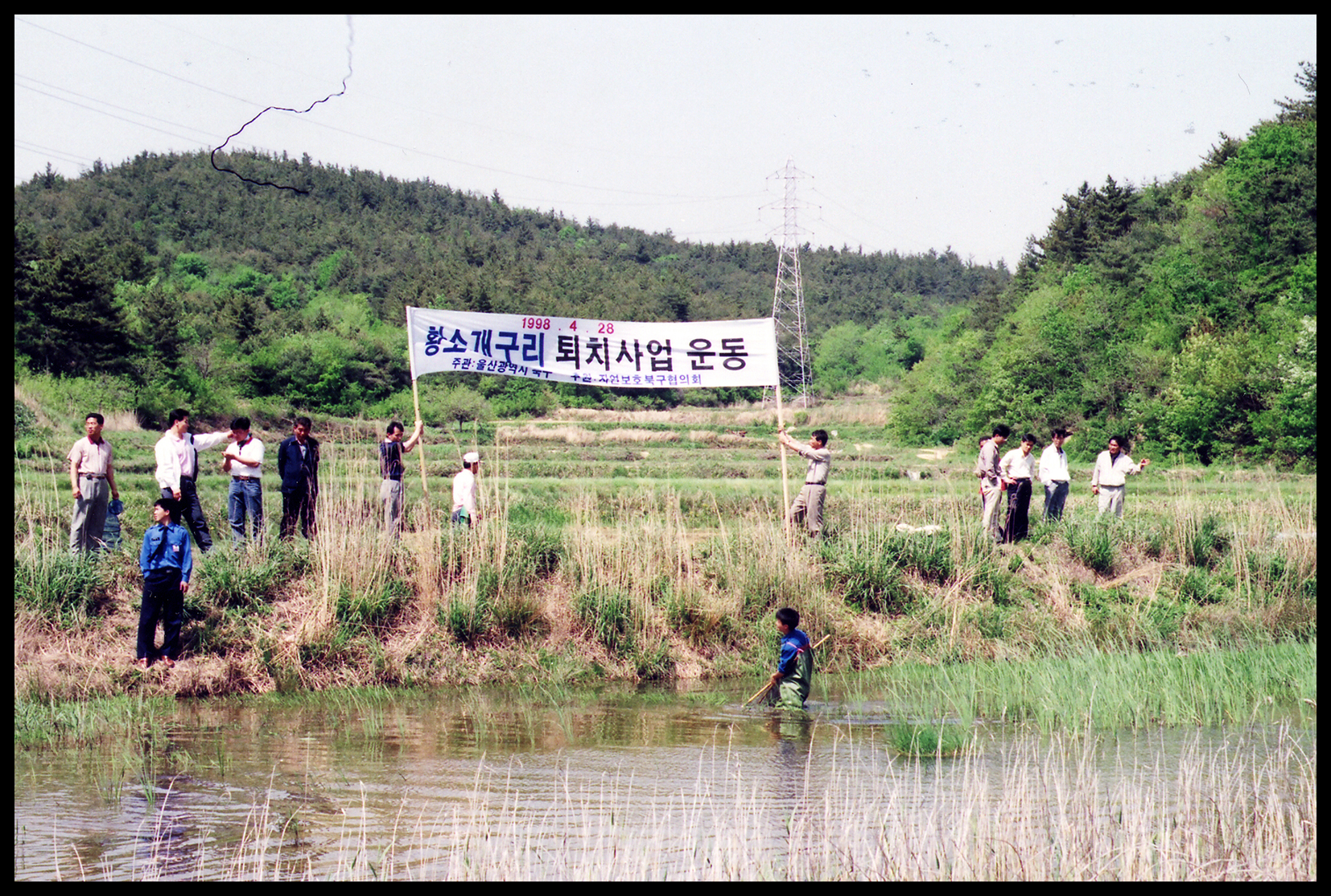 19980428황소개구리퇴치운동02.jpg