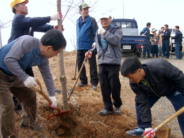 식목행사