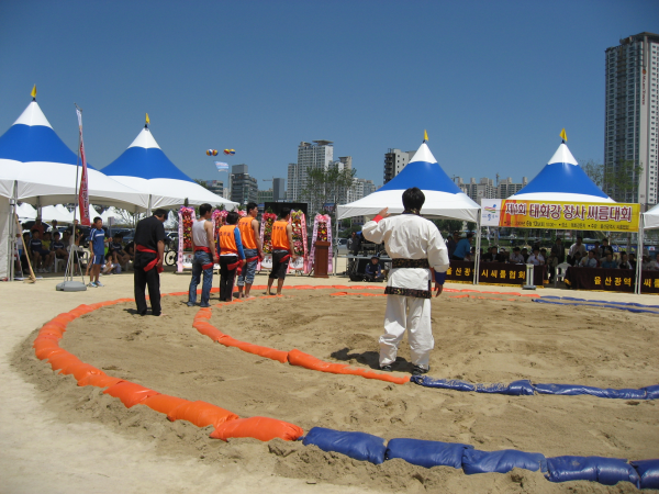 태화강 물축제-제1회 태화강 장사 씨름대회