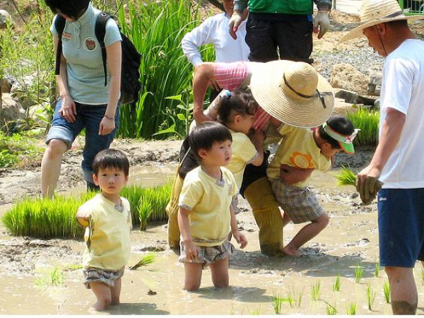 농소1동 어린이 자연학습체험장, ‘사랑의 모 심기’ 행사