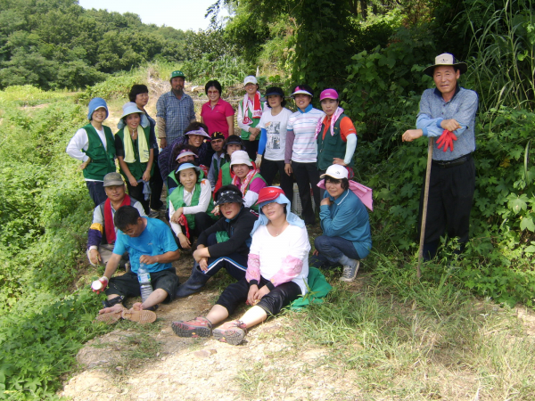 농소3동새마을협의회,새마을부녀회 배추,무심기 행사(090828)