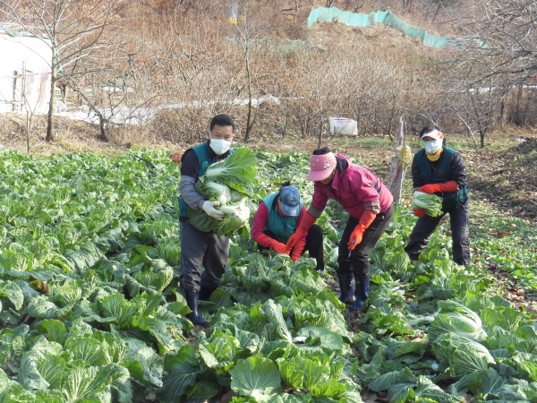 양정초등학교 급식쌀 전달