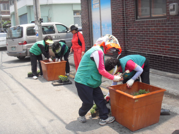 소방도로 양심화분 및 양정생활체육공원 공한지 초화류 식재 실시