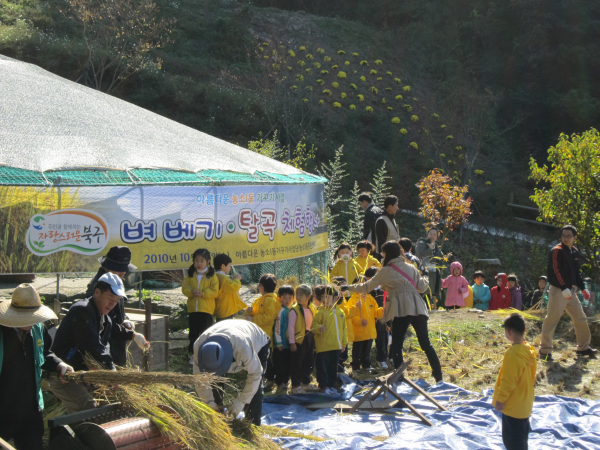 전통 벼베기. 탈곡체험 행사 이모저모