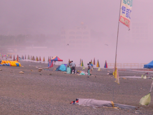 8.18해변정화활동
