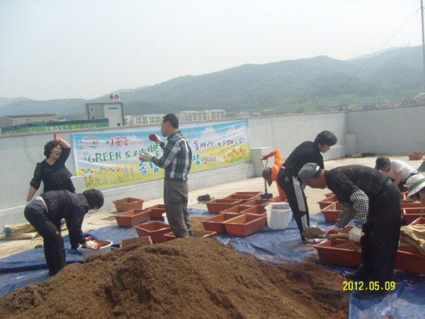 120509 GREEN-도시텃밭 동아리 묘종 심기