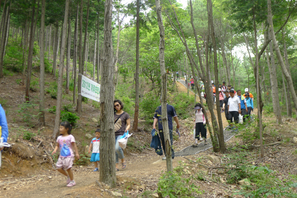 달천편백산림욕장 걷기대회