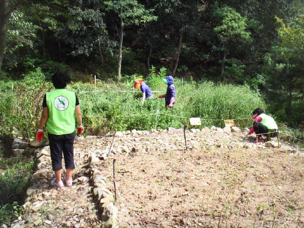 오치골 야생화단지 제초작업(자연보호협의회)