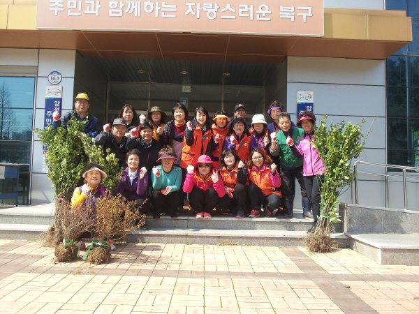 2014년 양정동 나무심기 (1)