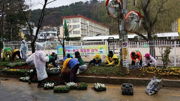 [새마을협의회·부녀회]봄철 초화류 식재 (1)