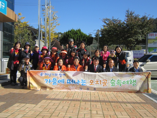가을에 떠나는 오치골 숲속여행