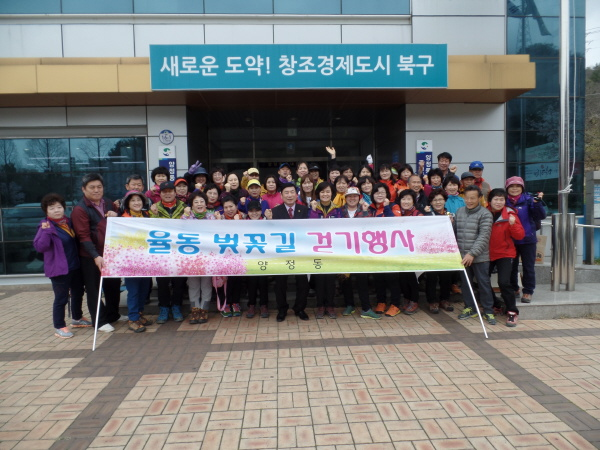 율동 벚꽃길 걷기 행사