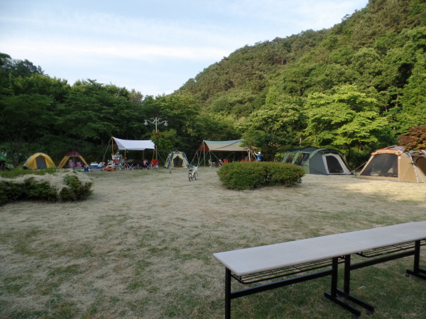 엄마,아빠와 함께하는 1박2일 오치골 가족캠프