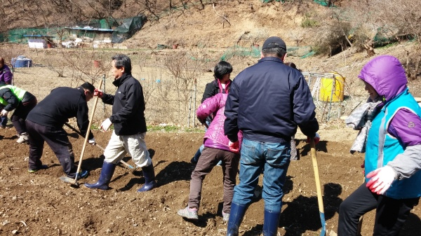 2015년 사랑나눔 농장 정지작업