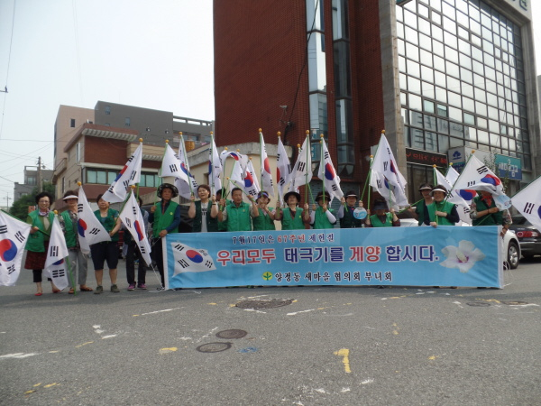 새마을부녀회협의회 제헌절 태극기 달기 캠페인