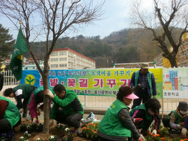 새마을회 봄 초화류 심기