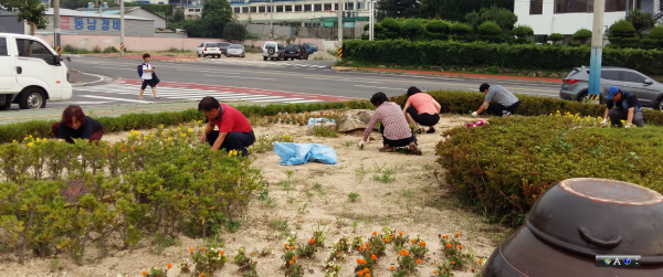 효문동 자율방재단 환경정비활동 실시