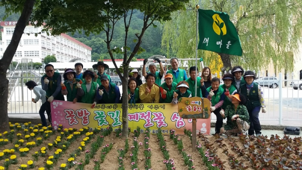 새마을회 여름 초화류 심기
