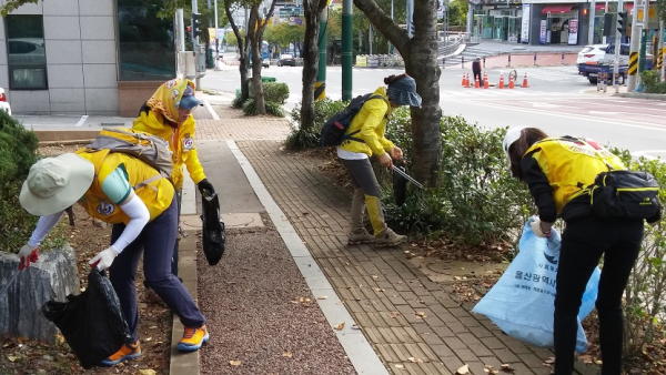 농소3동 적십자 봉사회 달천아이파크 부근 환경정화 활동