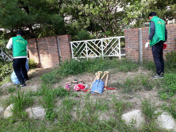 농소3동 새마을협의회 및 새마을부녀회 가을 초화류 식재