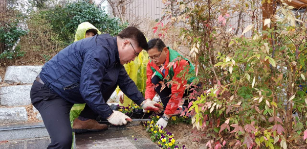 농소3동 새마을 협의회 및 부녀회 봄초화류 식재