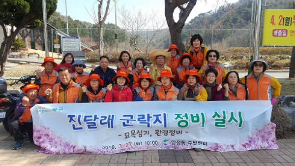 양정동 진달래 군락지 정비