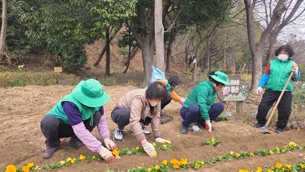 ('26. 3. 25.) 염포동 새마을부녀회, 봄 초화류 식재