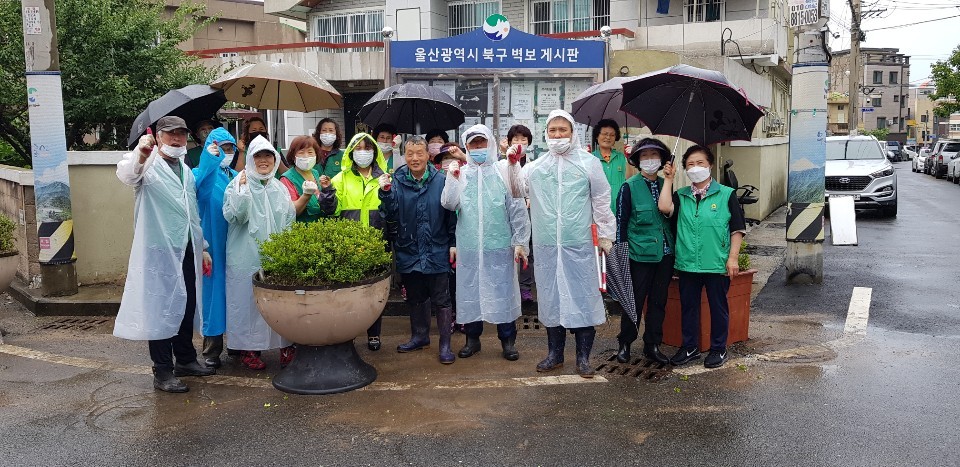 양정동 새마을협의회.부녀회 관내 환경정비 활동