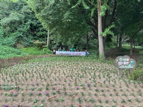 ('26. 9. 17.) 염포동 새마을부녀회, 가을맞이 초화류 식재