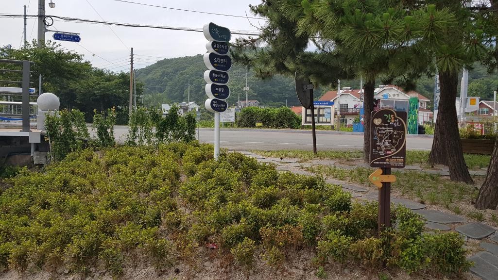 바다와 같이 걷는 해안산책로 조성사업 소나무공원 조경