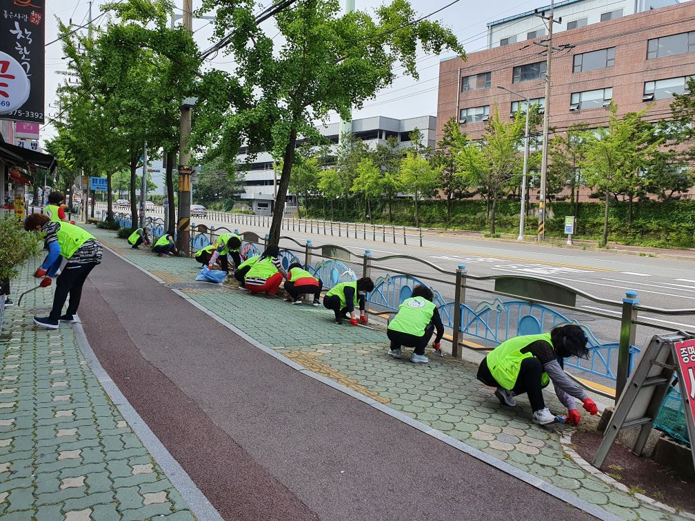 염포동 자연보호회 도로변 환경정비(풀베기 ) 실시