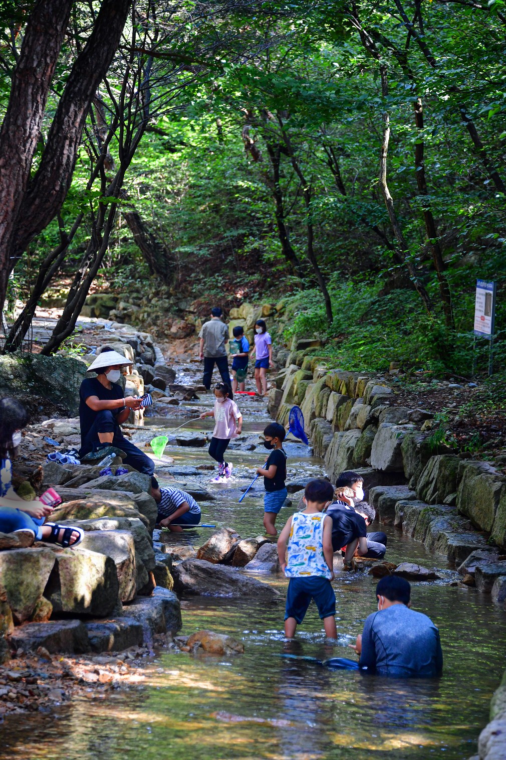 (울산 북구 12경)  천마산 편백산림욕장