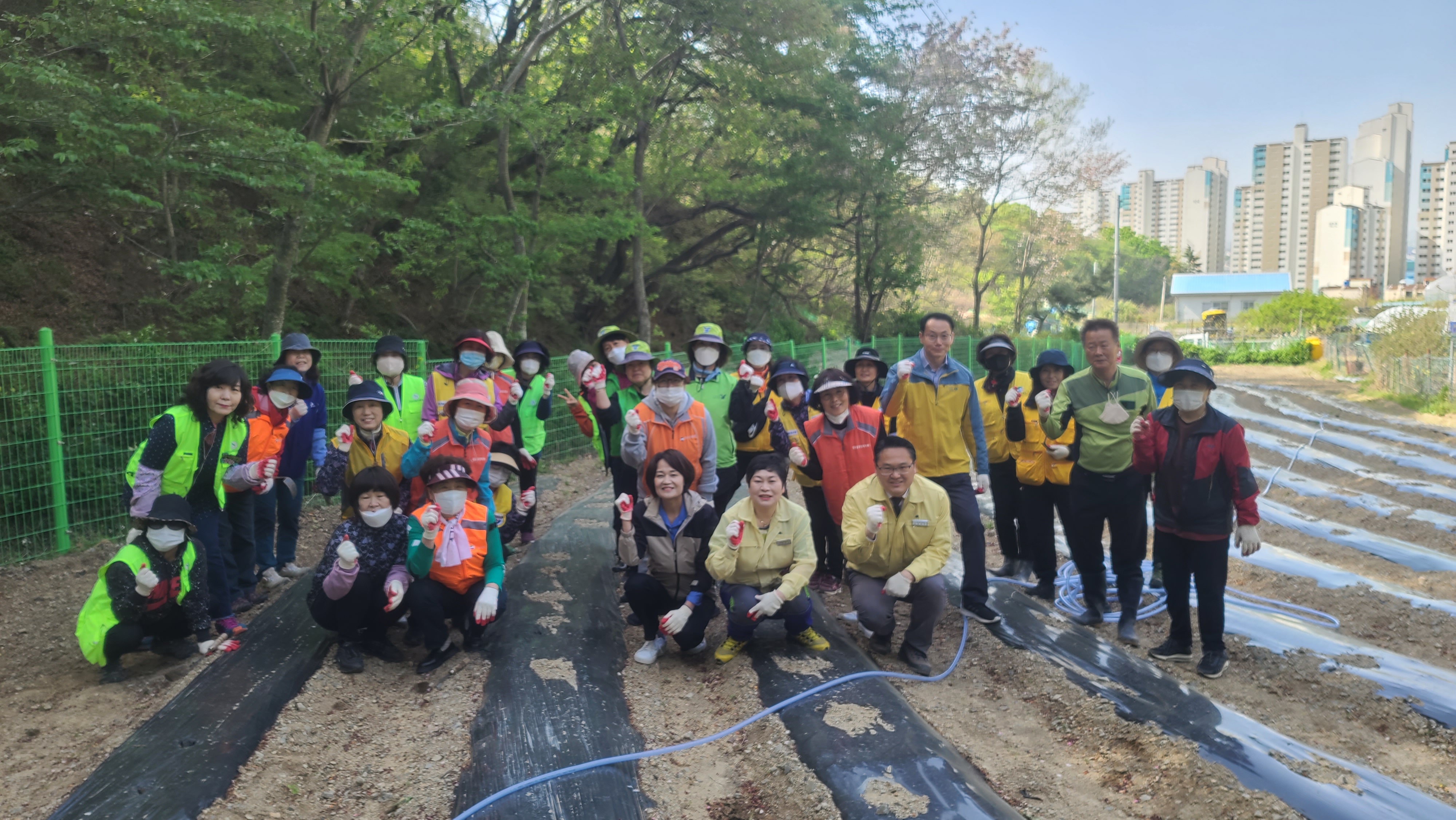 (23.4.10.) 사랑나눔농장 옥수수 모종 식재