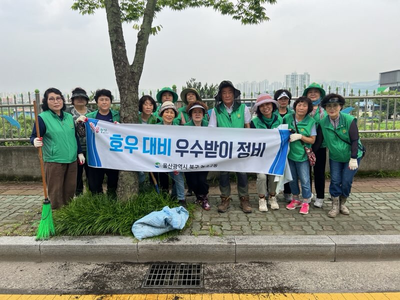 농소2동 새마을회 호우 대비 우수받이 정비