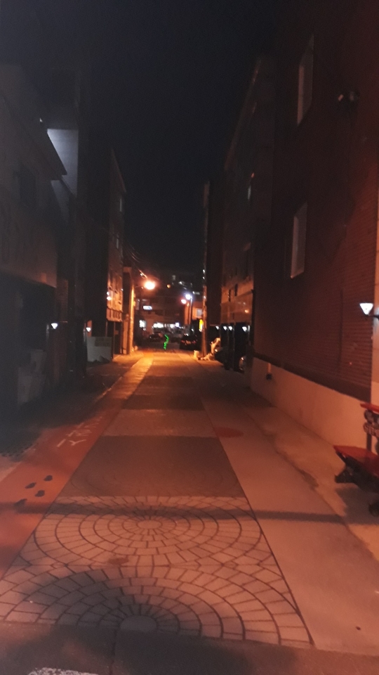 신전 경로당 골목 보안벽등(태양열) 설치 작업(지역발전협의회)