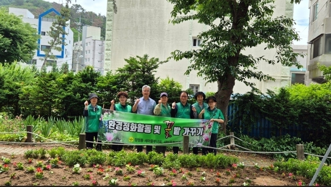 (2026. 5. 27.) 여름 초화류 식재