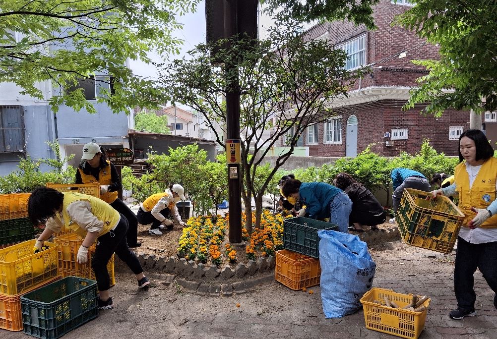 ('25.5.23.) 여성자원봉사회 미도아파트 소공원 여름 초화류 심기 행사